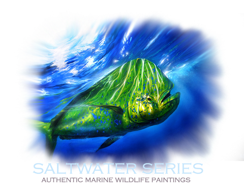 Saltwater Series