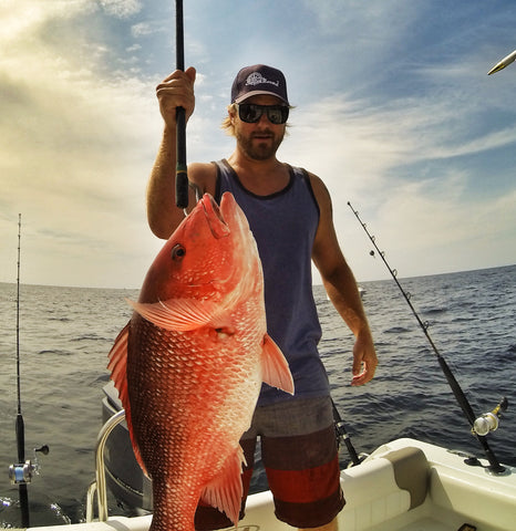 American Red Snapper