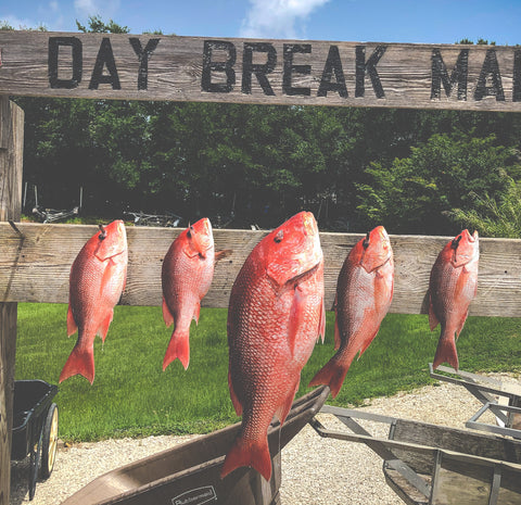 American Red Snapper