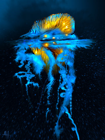 The Drifter