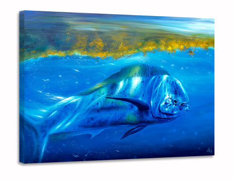 Midnight Mahi