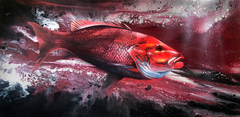 American Red Snapper