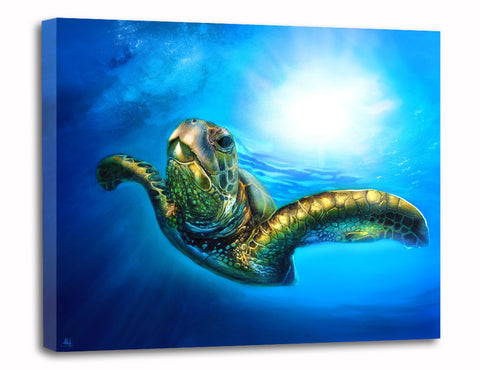 Sea Turtle