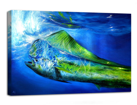 Silver Blue Mahi