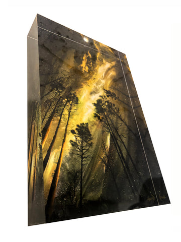 Tarkiln Pines Block 4x6