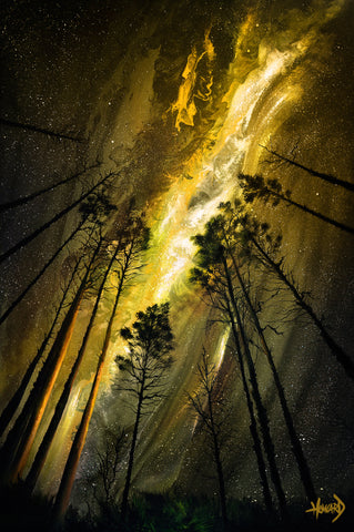 Tarkiln Pines
