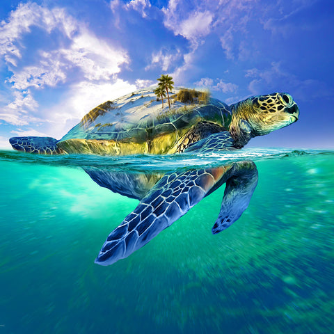 Turtle Island