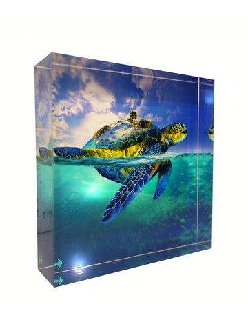 Turtle Ice Block Turtle Island block 4x4
