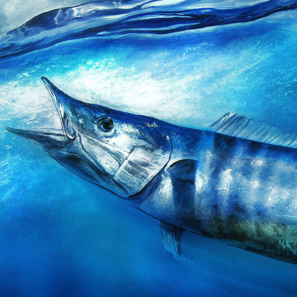 Blue Wahoo