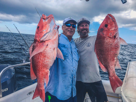American Red Snapper