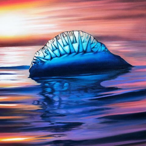 Man-O-War