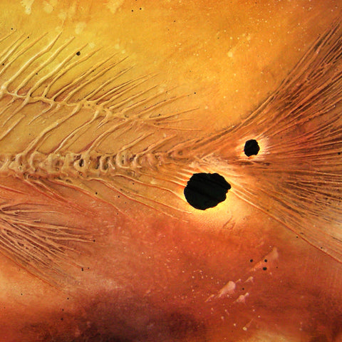 Red Fish